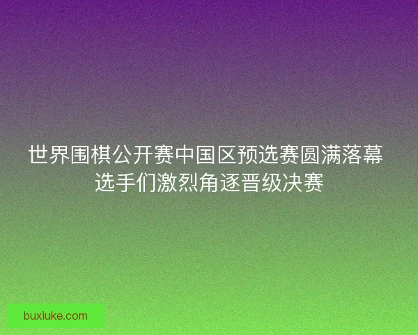 世界围棋公开赛中国区预选赛圆满落幕 选手们激烈角逐晋级决赛